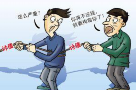 雁江企业清欠服务